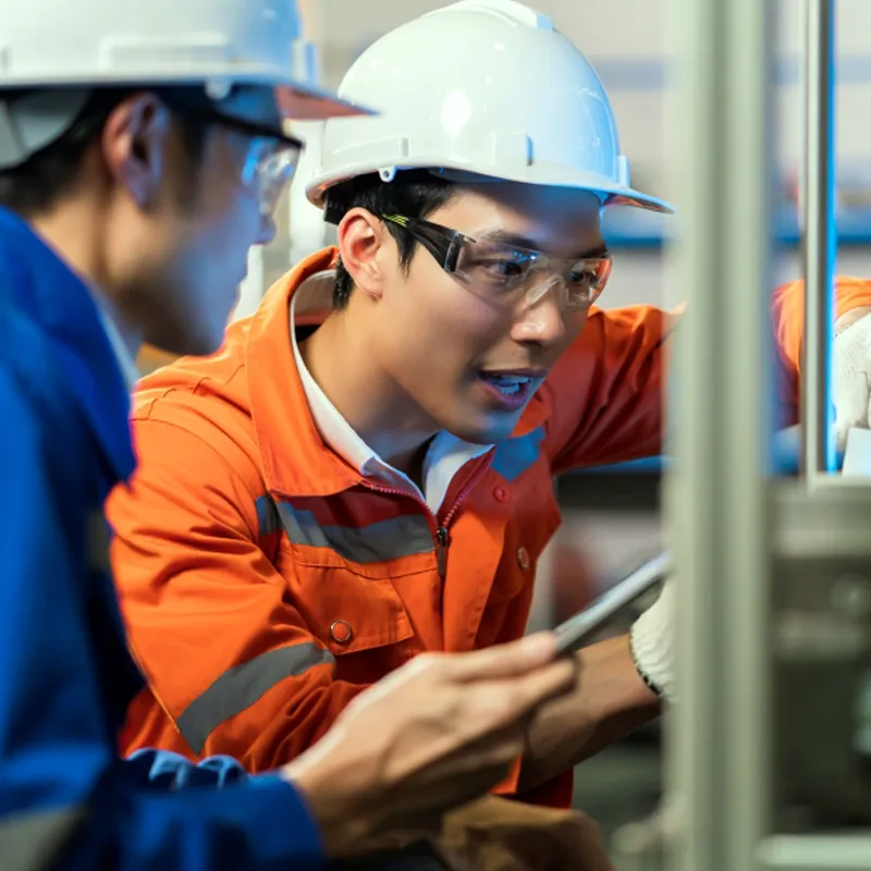 Bliss Factory Checks: Your Eyes, Your Decision – No Stress!