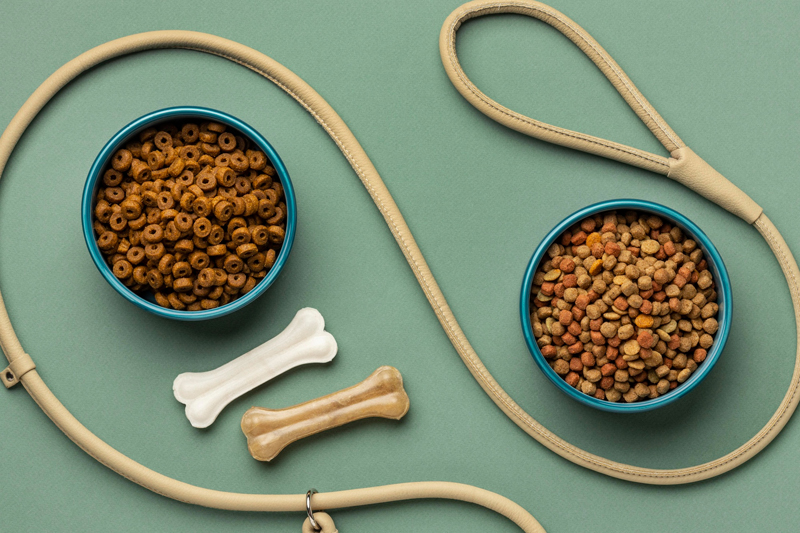 Pet Supplies Sourcing Solutions